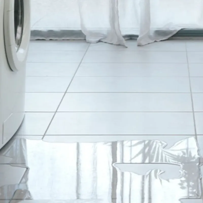 Appliance Leak Cleanup in Channahon, IL