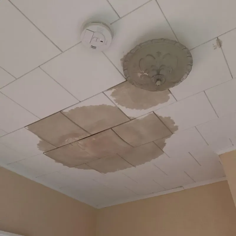 Ceiling Water Damage Repair in Channahon, IL
