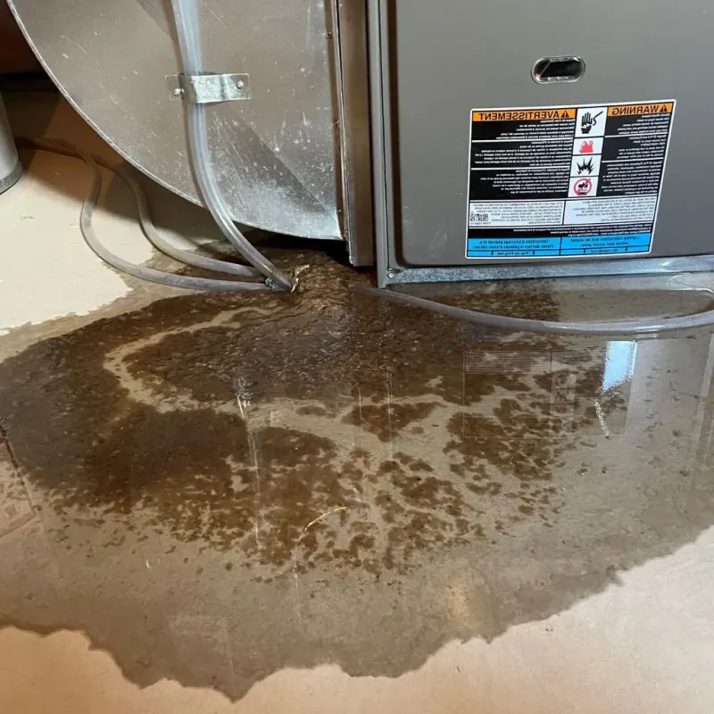 Pipe Burst and Leak Restoration in Channahon, IL