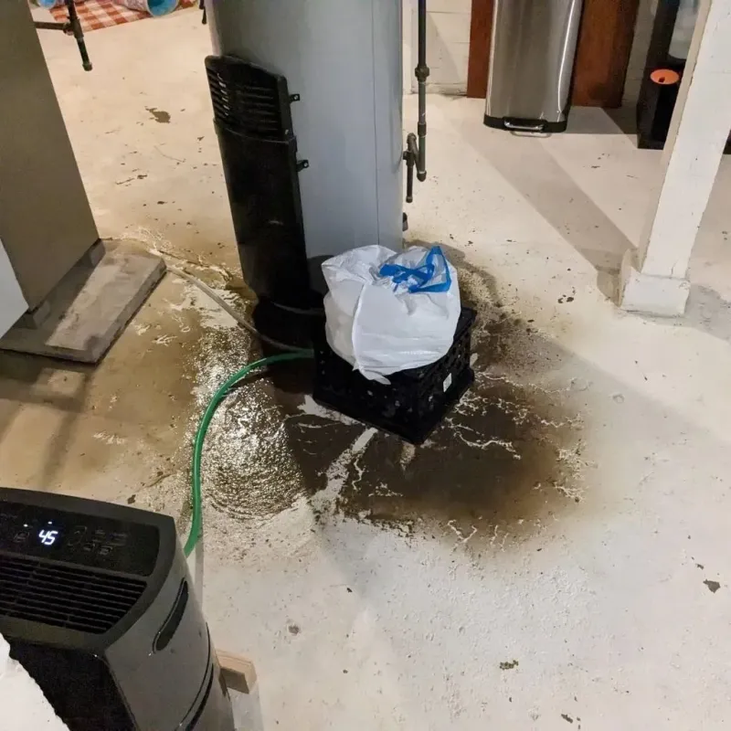 Sewage Backup Cleanup Service in Channahon, IL